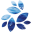 NKN