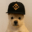 PUP (pupxbnb.com)