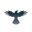 Raven Protocol Logo