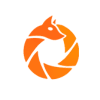 RippleFox Logo