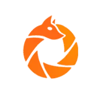 RippleFox Logo
