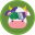 SEDA