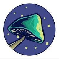 Spore