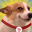 Sundog