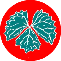 Vanillacash logo