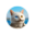 vankedisi