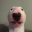 Walter