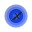 XRPayNet