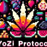 YoZi Protocol